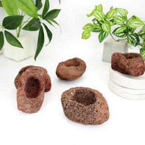 화분백화점,화산석 돌화분 다육 인테리어 화분 돌화분 1호 2호