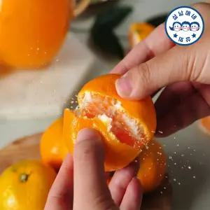 제주도 산지직송 노지감귤 랜덤과 S~2L 3kg