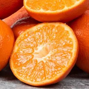 제주 레드향 2kg / 중소과