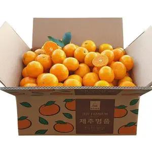 [셀러허브][리얼제주] 남원위미효돈 고당도정품귤 10kg-A급 로열과 (S41588318)