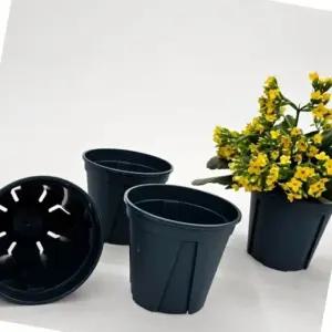 슬릿형 식물 재배 화분 소형 실내 가정용 사무실 그린 플랜트 (WFK6B6N)