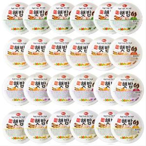 주식캔 사료 애견비책 햇밥 혼합 습식 120g 24개