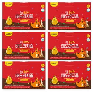 [루솔] 홍삼 배도라지즙 120포 선물박스 (1박스 20포 X 6개)