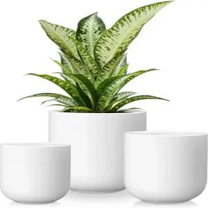 반카소 도자기 화분 4+5+6인치 3개 세트 배수구가 있는 실내 식물 모던 장식 정원 홈 데코 화이트