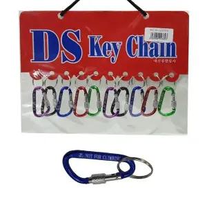저렴한 베스트 열쇠고리 10개 DS 미니 잠금 (WFJSPLF)
