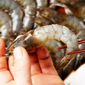 [분당맛집]살이 꽉찬 짜지않은 저염 깐새우장 600g #간장새우장 #양념새우장 #수라예찬