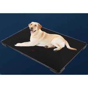 동물용 체중계 반려견 몸무게 측정기 동물병원 고정밀 계량대