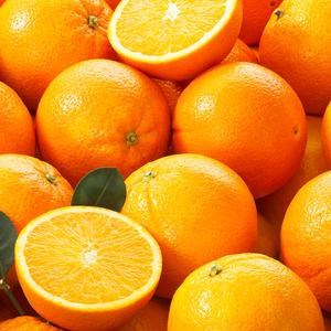 오렌지 중대과 20개