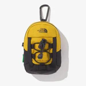 [노스페이스](대전신세계)NN2PQ23D 미니 보레알리스 파우치