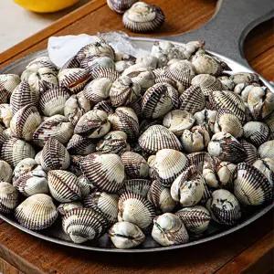 [밥도둑푸드]국내산 새꼬막 1kg 중사이즈