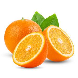 (신상입고) 씨없는 네이블 오렌지 / 5kg내 25과전후 중과