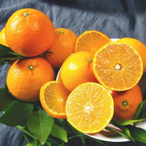 당도 높은 전북 익산 향팜 황금향 가정용 2kg