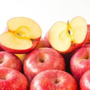 [더조은] 알뜰 꿀사과 부사사과 10kg 주스용