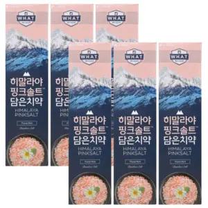 히말라야 핑크솔트 담은 치약 플로럴민트 100g 6개
