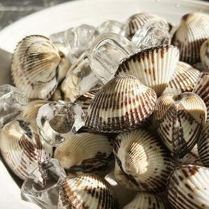 신선함이 다른 벌교 새꼬막 1kg x 2개 (총 2kg)