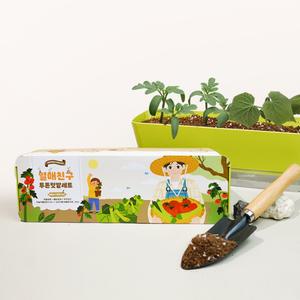 식물재배키트 방울토마토 키우기 미니당근 씨앗