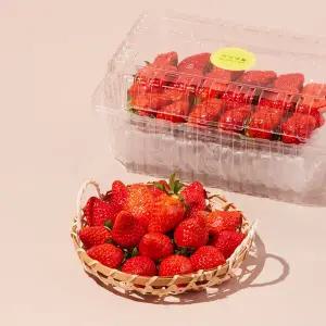 [프리미엄] 산청 장희 딸기 750g 팩