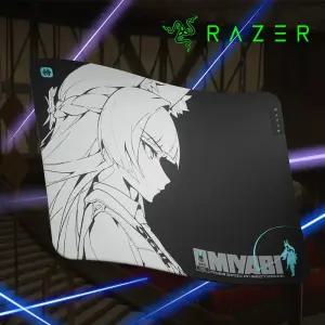 [국내정발] 레이저 기간투스 V2 미디엄 젠레스존제로 젠존제 마우스패드