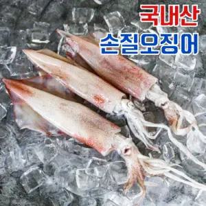 [대호] 국내산 손질통오징어 240g×9팩, 총 18미 (팩당2마리)