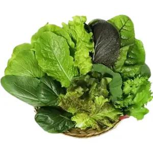 하나의팜 국내산 모듬 쌈채소 1kg 모둠쌈