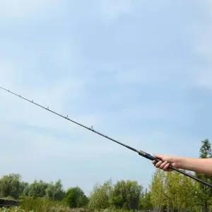 루어낚싯대 광어 낚시대 방파제낚싯대 민물낚시 농어 WFIKSE1