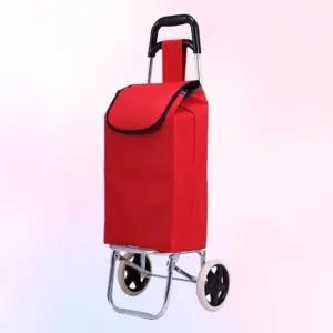 이동식 시장용 쇼핑카트 대용량 장바구니 튼튼한 바퀴 (WFKBFCD)