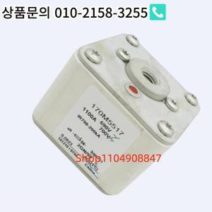 170M5558 새 제품 퓨즈