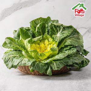 [푸드빌리지] 싱싱한 제철채소 봄동 2kg/4kg