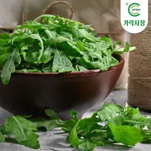 가락시장 당일경매 루꼴라 1kg