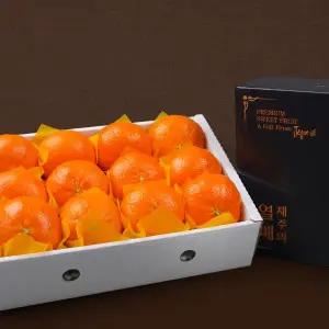 [참후레쉬][1/5(월) 순차출고]유명산지 서귀포 레드향 세트 3kg, 12입 이내