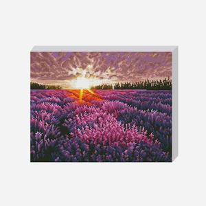 DIY 보석십자수 세트 노을진 라벤더밭 40x50cm 풍경 캔퍼스 액자형 비즈
