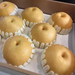 25년 햇배 프리미엄 나주 배 신고배 특품 15kg 선물용