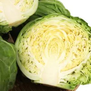 [농협] 국내산 양배추 1통(특/1kg내외)