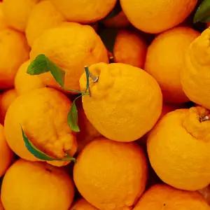 고당도 제주 한라봉 5kg 10kg 가정용 박스포함 혼합과 실속포장