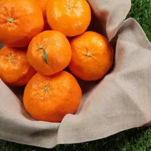 산지직송 레드향 특대과 1.5kg 4-6과