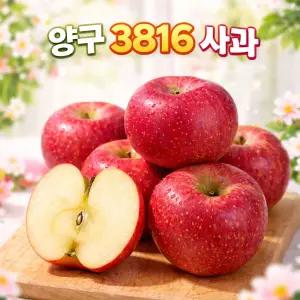 강원도 양구 3816 사과 고당도 부사 5kg