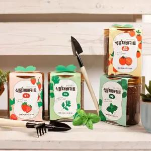 고급 어린이 유아 방울토마토 딸기 고수 바질 재배키트 화분세트 초등학생 가정용 키우기 유치원 씨앗 학교