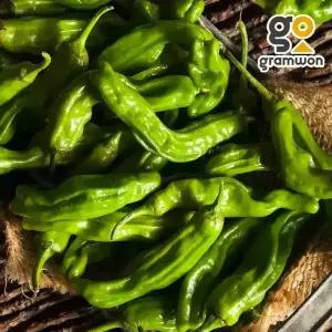 꽈리고추 500g 상등급 국내산 찜 쪄먹는 햇 고추 국내산