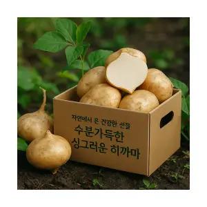히카마 멕시코감자 베트남산 히까마 얌빈 인디언 감자 5kg 10kg