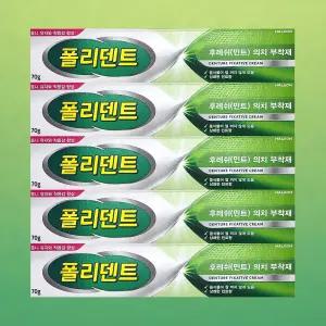 폴리덴트 의치 부착재 틀니 접착제 민트향 70g 5개
