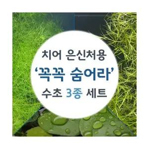 치어 새우 은신처용 꼭꼭 숨어라 3in1 (소스컵3개) 세트수초