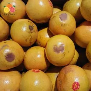 가정용 실속형 못난이 자몽 5kg