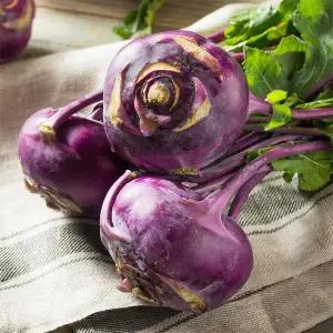 [롯데백화점]자연맛남 아삭달콤 제주직송 콜라비 10kg (상품)