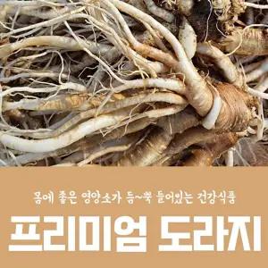고씨네 약도라지1kg 도라지 생도라지 야산재배도라지