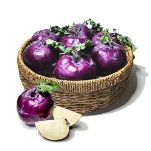 [아침이슬농원] 제주 콜라비 정품 혼합 5kg