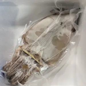 피데기 반건조 오징어 20미