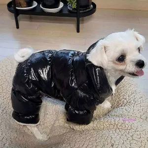 올인원 강아지 옷 패딩 겨울 겨울옷nop714