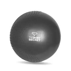 운동 bns 더바디시크릿 클래식 더블 짐볼 홈트/필라테스/헬스/피트니스/운동 65cm