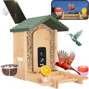 카메라 태양광 전원 스마트 버드 피더 3K HD 비디오 5MP 사진 AI 및 알림 실시간 시청 WiFi 앱 자동 캡처