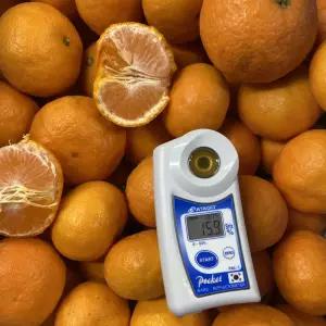 제주 효돈 남원 비가림 하우스감귤 고당도 14~15브릭스 선물용 가정용